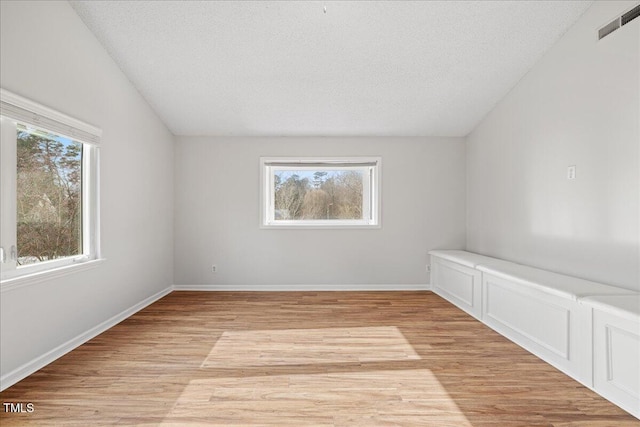 empty room with plenty of natural light, light hardwood / wood-style floors, and a textured ceiling