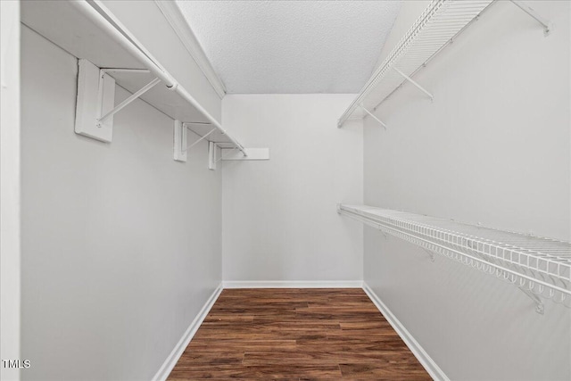 spacious closet with dark wood-type flooring