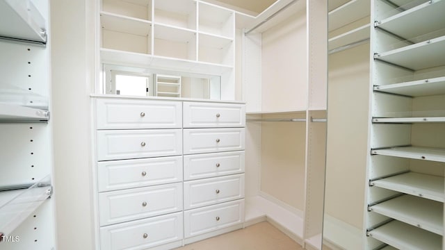 view of spacious closet