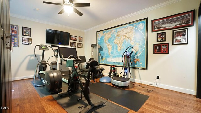 exercise area with wood-type flooring, ceiling fan, and ornamental molding