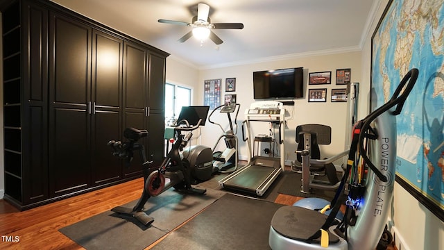 exercise area with hardwood / wood-style floors, ceiling fan, and ornamental molding