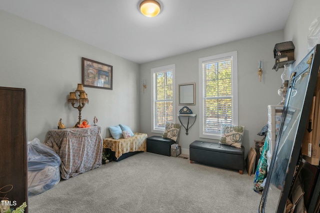 bedroom featuring carpet floors