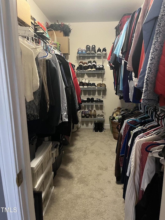 spacious closet with carpet flooring