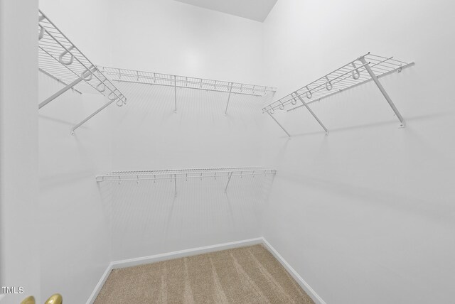 7340 Doverton Ct, Raleigh, NC 27615 - spacious closet with carpet floors