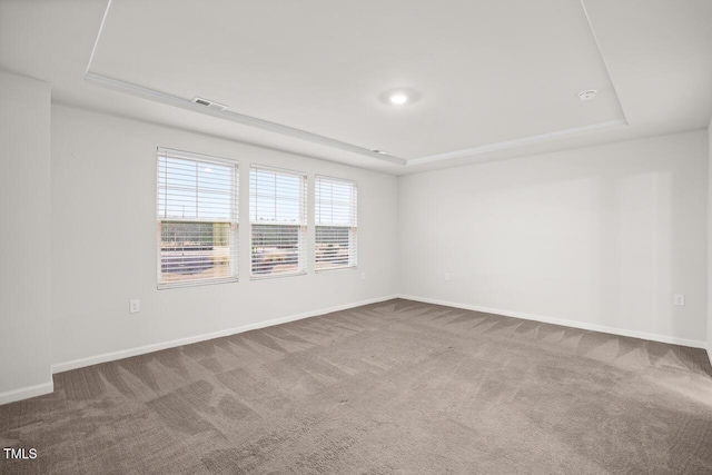 spare room featuring carpet flooring and a raised ceiling