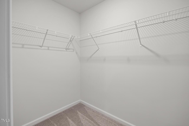 spacious closet with carpet