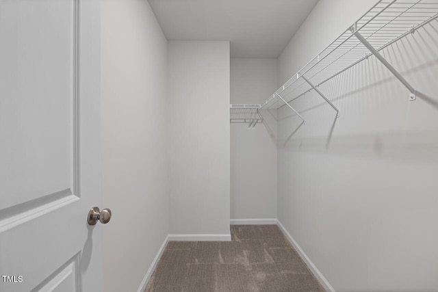 spacious closet with carpet flooring