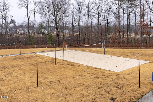 view of home's community with volleyball court