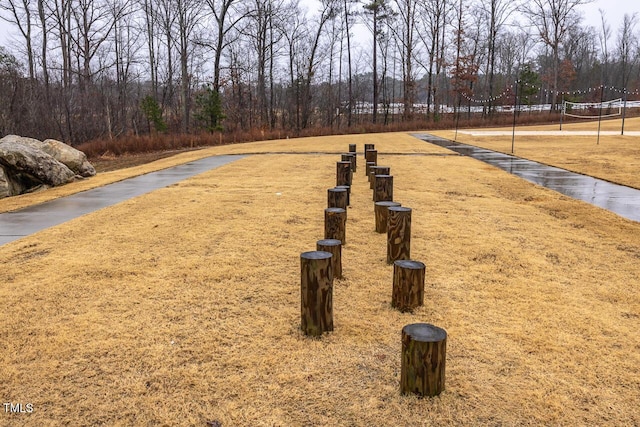 view of community with volleyball court