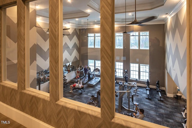 gym featuring crown molding, ceiling fan, and a healthy amount of sunlight