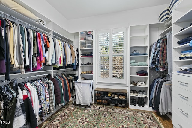 spacious closet with wood-type flooring