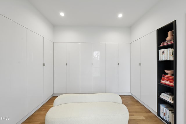 interior space featuring light wood-type flooring