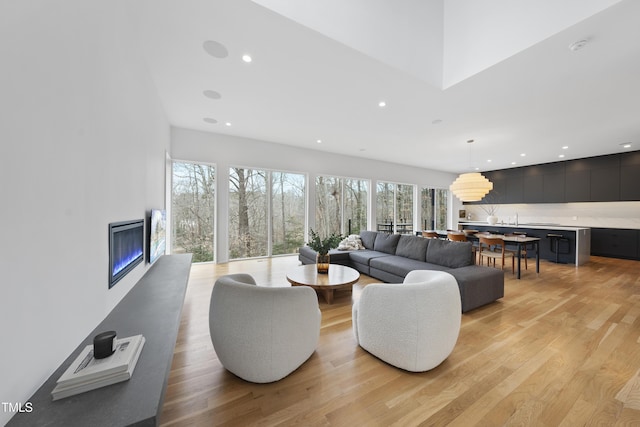 living room featuring sink and light hardwood / wood-style flooring