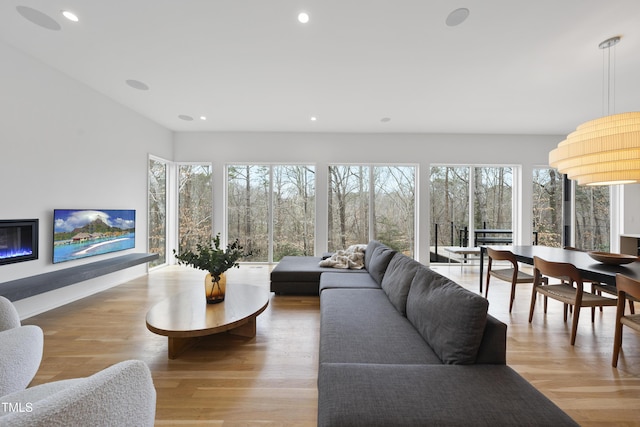 living room featuring light wood-type flooring