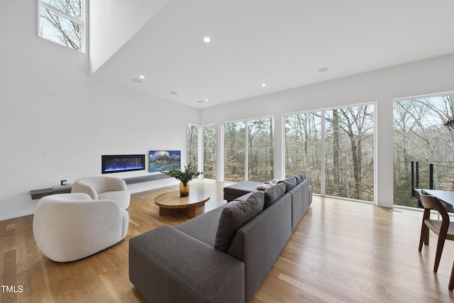 living room with light wood-type flooring