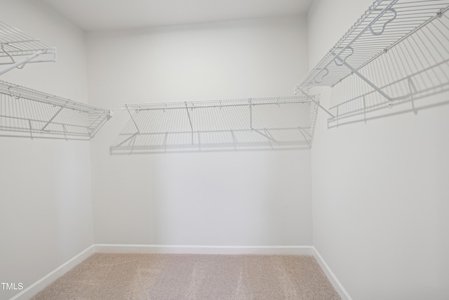 spacious closet with carpet flooring