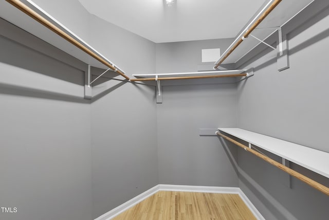 walk in closet with wood-type flooring