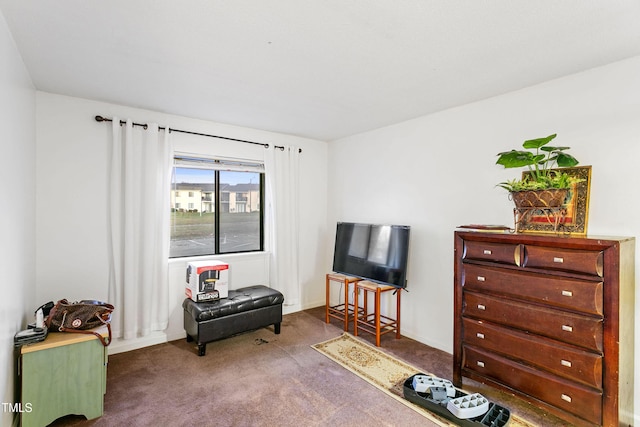 sitting room with carpet