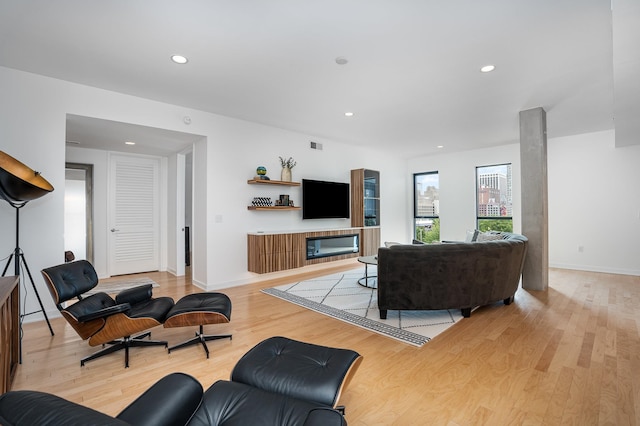 living room featuring light hardwood / wood-style flooring