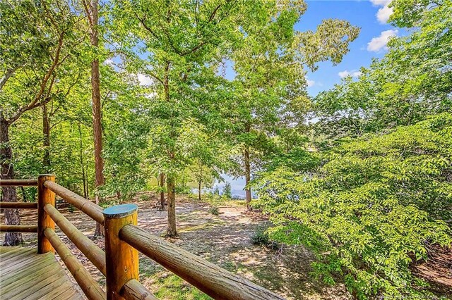 329 Silver Grove Church Rd, Rockingham, NC 28379 - view of yard