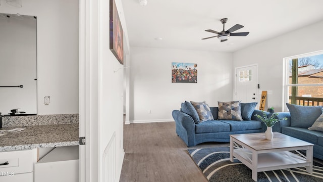 living room with ceiling fan and wood-type flooring