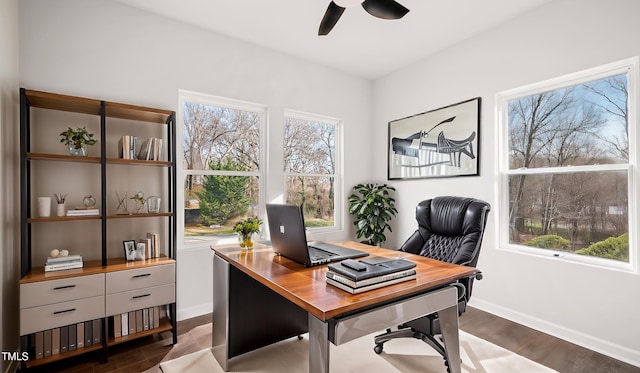 office area with ceiling fan and dark hardwood / wood-style flooring