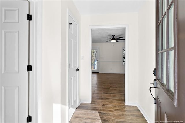 hallway with hardwood / wood-style flooring