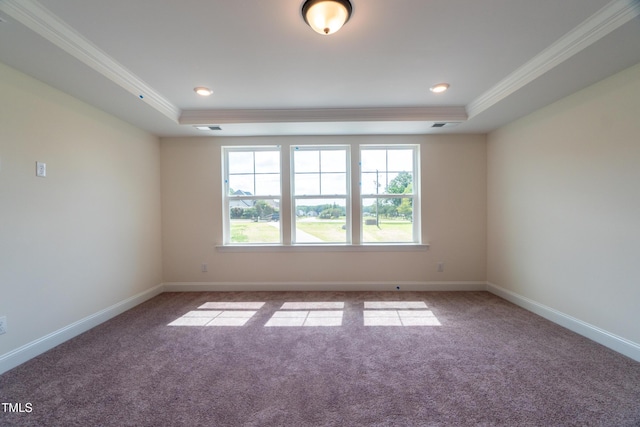 carpeted empty room with a raised ceiling and crown molding