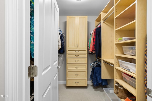 walk in closet with light colored carpet