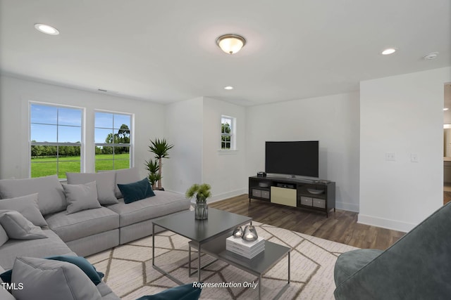 living room featuring dark hardwood / wood-style flooring