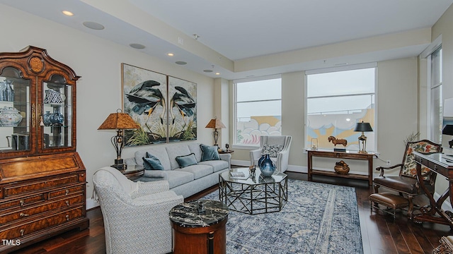 living room with dark hardwood / wood-style flooring