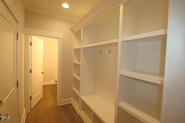 mudroom featuring dark wood-type flooring