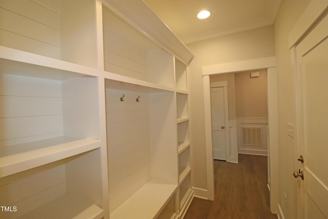 mudroom featuring dark wood-type flooring