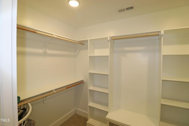 spacious closet with carpet