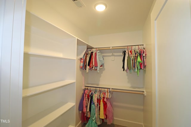 view of spacious closet