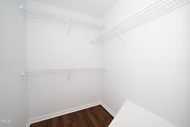 spacious closet with wood-type flooring