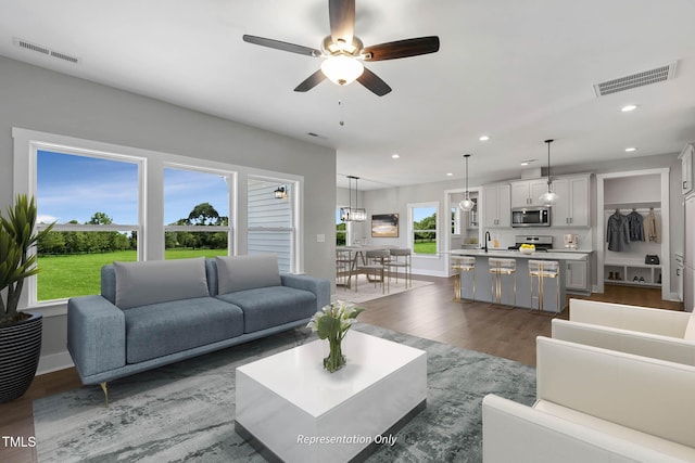 living room featuring dark hardwood / wood-style floors, ceiling fan, and sink