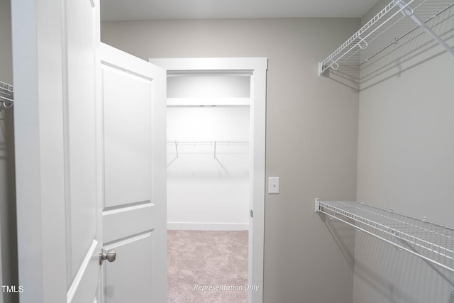 spacious closet featuring carpet floors