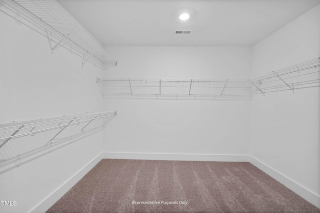 walk in closet with carpet