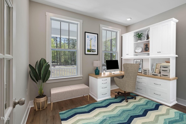 office area featuring dark hardwood / wood-style floors