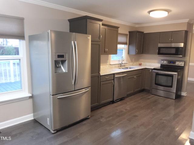 kitchen with appliances with stainless steel finishes, dark hardwood / wood-style floors, a wealth of natural light, and sink