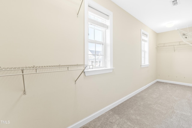 walk in closet featuring carpet floors