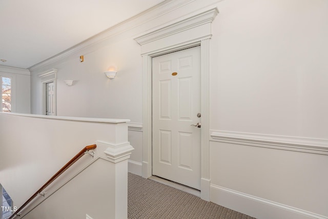 interior space with carpet and ornamental molding