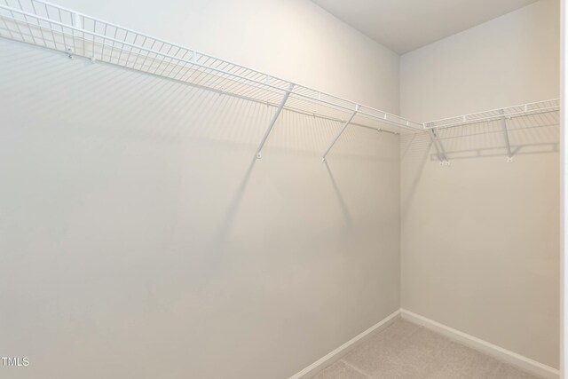 spacious closet with carpet