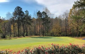 view of property's community featuring view of golf course, a wooded view, and a yard