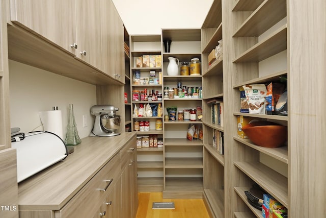 view of pantry