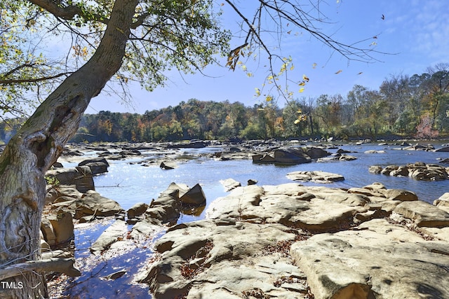 water view with a forest view