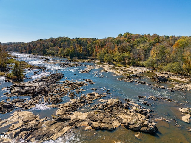 water view featuring a wooded view