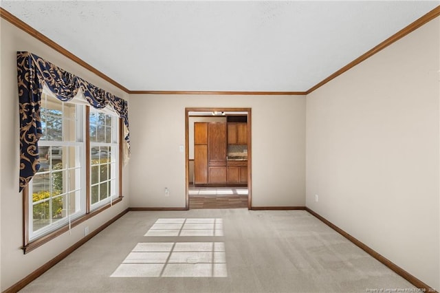 carpeted empty room featuring crown molding