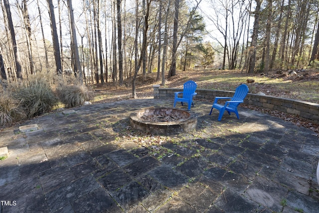 view of yard with a patio area and an outdoor fire pit